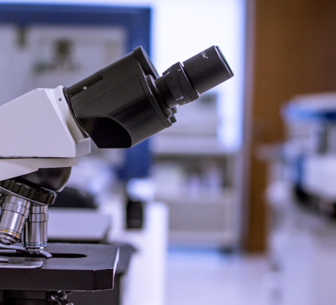 laboratorio_biolab11